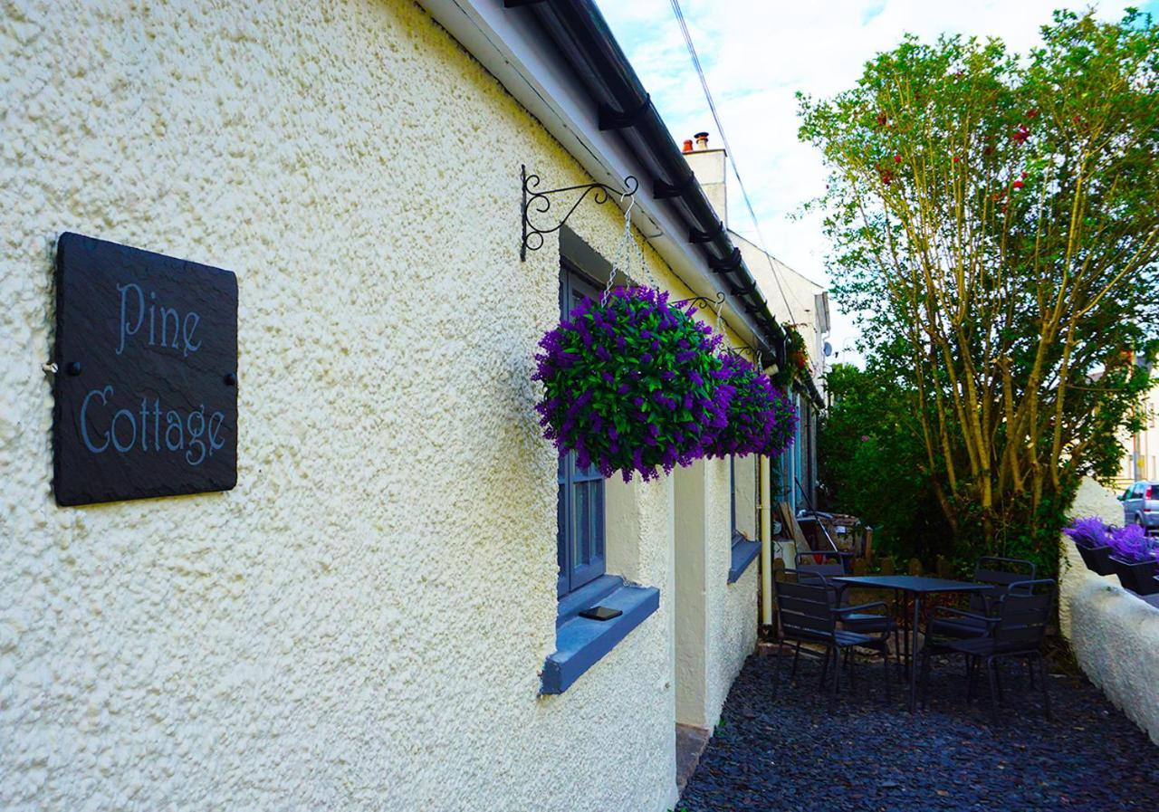 Staycation At Pine Cottage, A Newly Refurbished Holiday Cottage Goodwick Exteriér fotografie